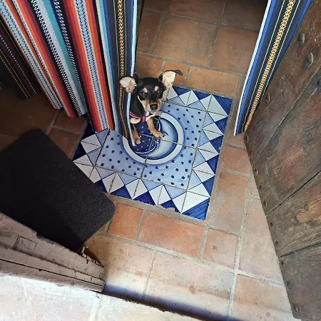 Lluna Tu Casa Zen Apartment *